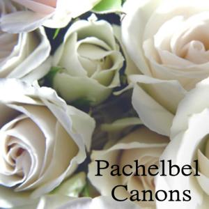 ดาวน์โหลดและฟังเพลง Canon in D พร้อมเนื้อเพลงจาก The O'Neill Brothers
