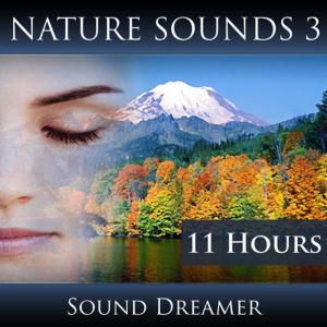 ดาวน์โหลดและฟังเพลง Campfire Sounds - 1 Hour พร้อมเนื้อเพลงจาก Sound Dreamer