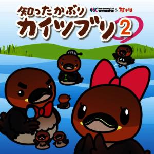 ดาวน์โหลดและฟังเพลง Kawaii Shigakenmin พร้อมเนื้อเพลงจาก Fujiigumi