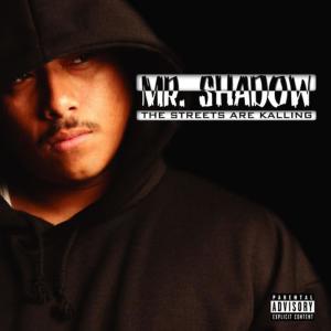 ดาวน์โหลดและฟังเพลง The Game's Flooded พร้อมเนื้อเพลงจาก Mr. Shadow