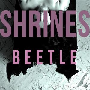 ดาวน์โหลดและฟังเพลง Beetle (Radio Edit) พร้อมเนื้อเพลงจาก Shrines