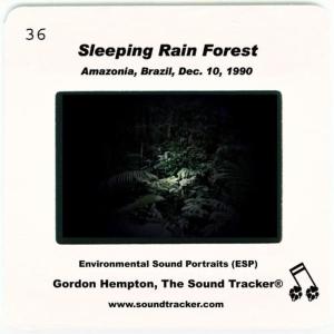 收聽Gordon Hempton的Sleeping Rain Forest歌詞歌曲