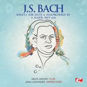 ดาวน์โหลดและฟังเพลง Sonata for Flute & Harpsichord in A Major, BWV 1032: Largo e dolce พร้อมเนื้อเพลงจาก Juraj Alexander