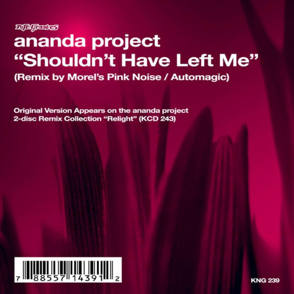 Shouldn't Have Left Me (Morel's Pink Noise Dub)