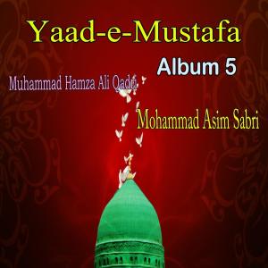 Listen to La Ilaha Illallah song with lyrics from Mohammad Asim Sabri