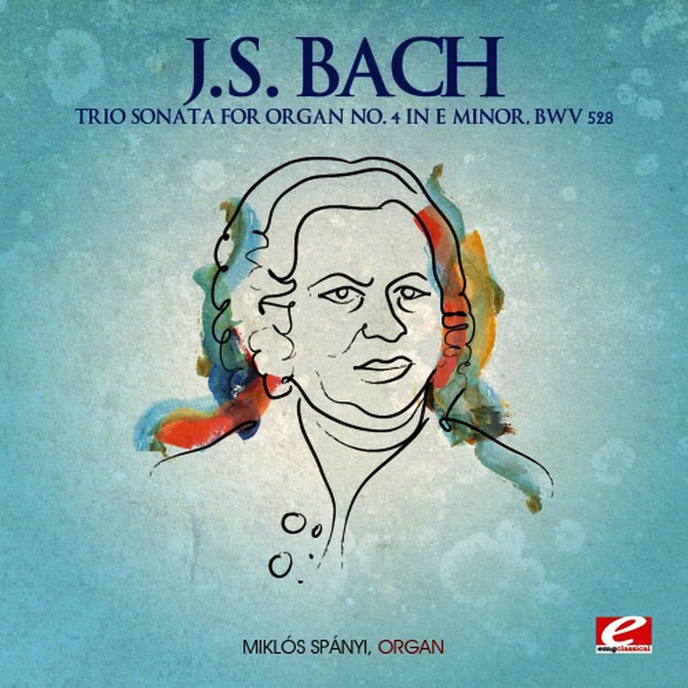 Trio Sonata for Organ No. 4 in E Minor, BWV 528: Un Poco Allegro