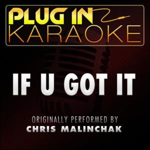 Plug In Karaoke的專輯If U Got It (Originally Performed by Chris Malinchak) [Karaoke Version]