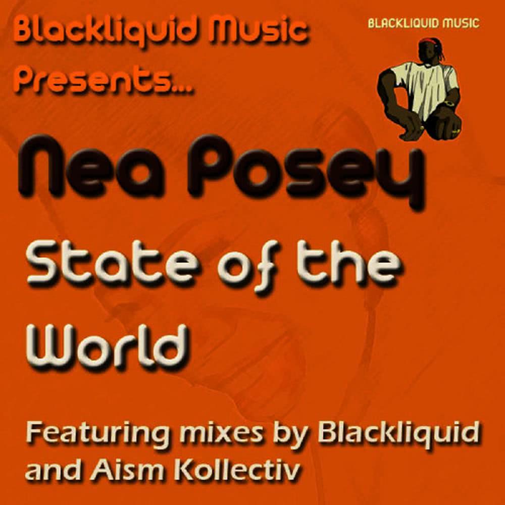 State of the World(BLs Funky Mix)