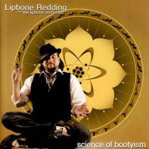 ดาวน์โหลดและฟังเพลง Be Thankful for What You Got พร้อมเนื้อเพลงจาก Lipbone Redding