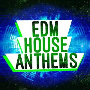 ดาวน์โหลดและฟังเพลง High Life พร้อมเนื้อเพลงจาก EDM House Hits