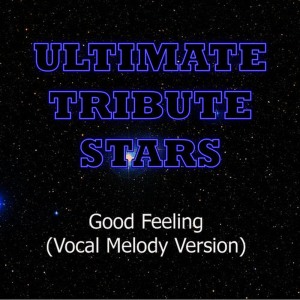 ดาวน์โหลดและฟังเพลง Flo Rida - Good Feeling (Vocal Melody Version) พร้อมเนื้อเพลงจาก Ultimate Tribute Stars