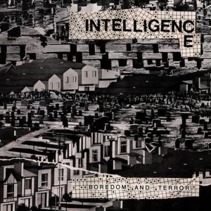 ดาวน์โหลดและฟังเพลง The New Kings and Queens of Musical History พร้อมเนื้อเพลงจาก The Intelligence