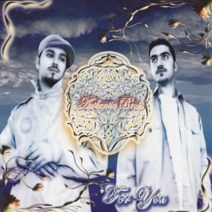 ดาวน์โหลดและฟังเพลง For You (Instrumental) พร้อมเนื้อเพลงจาก Authentic Bros