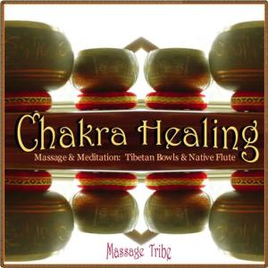 收聽Massage Tribe的The Inward Gaze [Relaxing Flutes & Light Percussion] (Relaxing Flutes & Light Percussion)歌詞歌曲