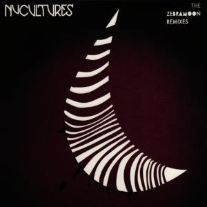 ดาวน์โหลดและฟังเพลง Run For Cover(Man From Nowhere Reconstruction) พร้อมเนื้อเพลงจาก Nucultures