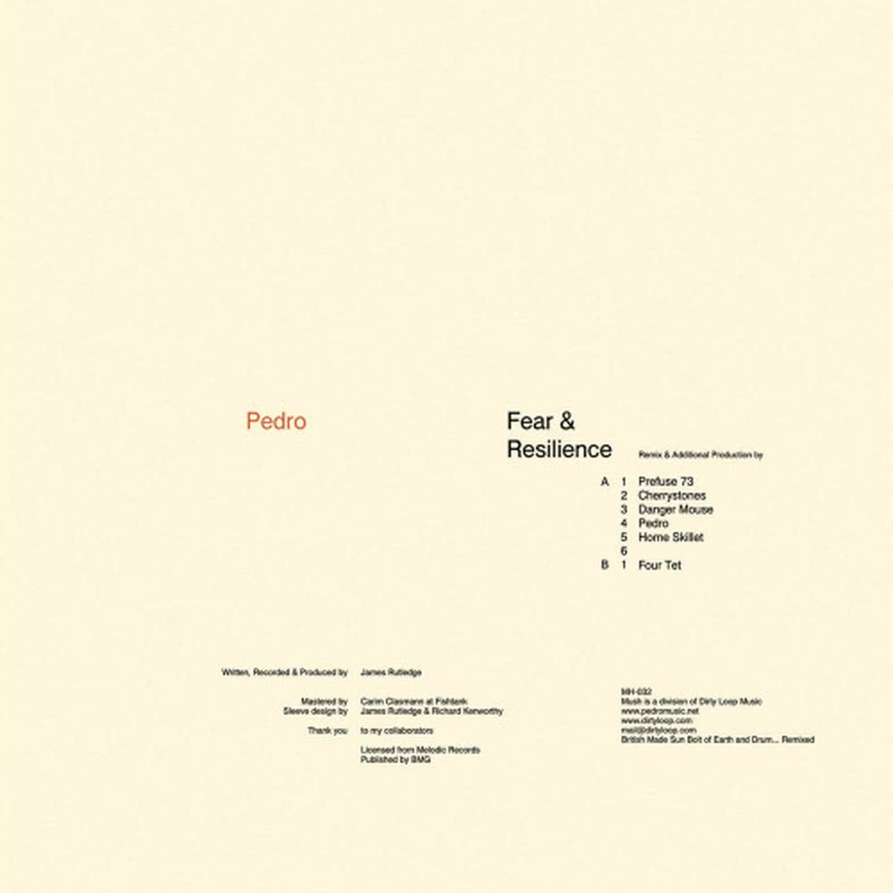 Fear & Resilience (Home Skillet) (Home Skillet Remix)