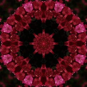 收聽Sonic Yogi的Montgomery Woods Meditation (7hz, 5hz, 3hz Binaural Beats for Brainwave Entrainment & Relaxation)歌詞歌曲