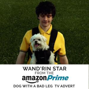 Lee Marvin的專輯Wand'rin' Star (From The "Amazon Prime - Dog with a Bad Leg" T.V. Advert)