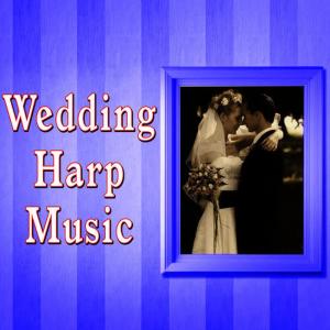 收聽Wedding Music Ensemble的Introducing the Happy Couple (Harp Version)歌詞歌曲
