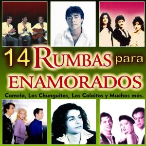 收聽David的Me Rompiste el Corazón歌詞歌曲