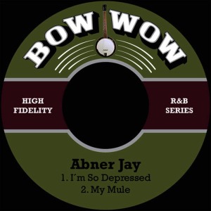 ดาวน์โหลดและฟังเพลง I´m so Depressed พร้อมเนื้อเพลงจาก Abner Jay