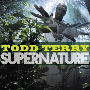 ดาวน์โหลดและฟังเพลง Supernature (Original Mix) พร้อมเนื้อเพลงจาก Todd Terry