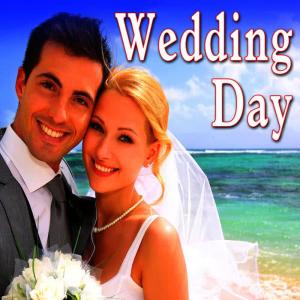 收聽Wedding Music Ensemble的Four Seasons Winter歌詞歌曲