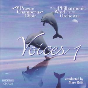 收聽Prague Chamber Choir的One Moment In Time歌詞歌曲