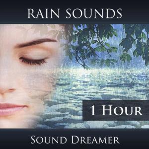 ดาวน์โหลดและฟังเพลง Rain Sounds - 1 Hour พร้อมเนื้อเพลงจาก Sound Dreamer