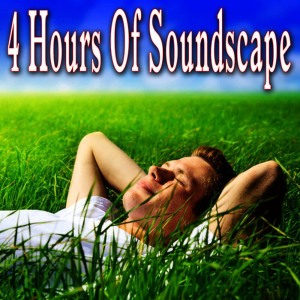 อัลบัม 4 Hours of Soundscape: Relaxation and Meditation Music with Nature Sounds ศิลปิน Nature Soundscape