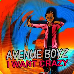 อัลบัม I Want Crazy ศิลปิน Avenue Boyz