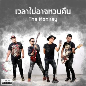 ดาวน์โหลดและฟังเพลง เวลาไม่อาจหวนคืน พร้อมเนื้อเพลงจาก The Monkey
