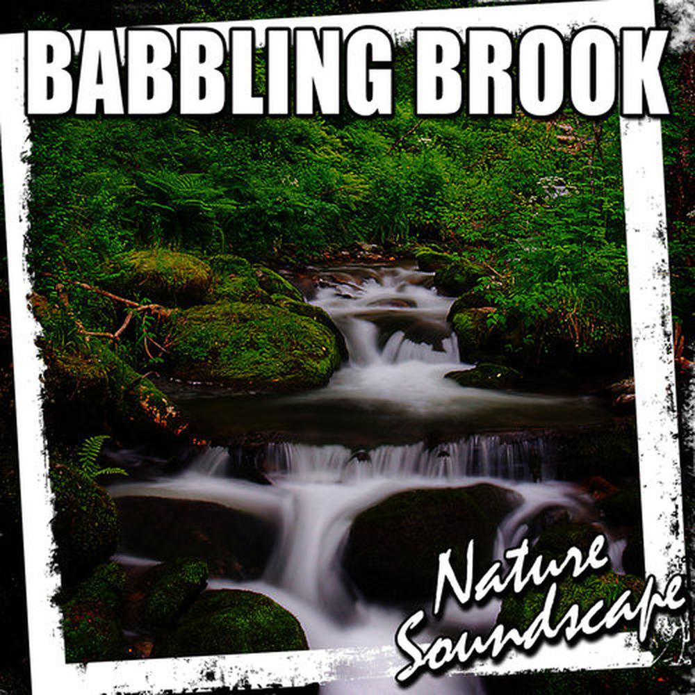 Comforting and Relaxing Babbling Brook for Stress Release