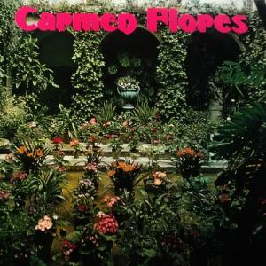 ดาวน์โหลดและฟังเพลง Imposible พร้อมเนื้อเพลงจาก Carmen Flores