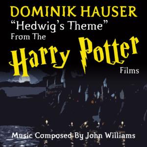 ดาวน์โหลดและฟังเพลง Harry Potter: Hedwig's Theme พร้อมเนื้อเพลงจาก Dominik Hauser