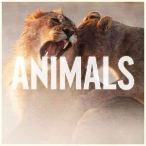 收聽Maroon 5的Animals (DJ|Remix)歌詞歌曲