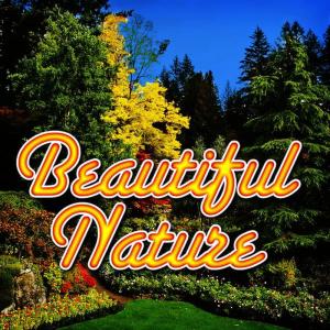 收聽Sounds Of Nature的Rolling Thunder over the Horizon歌詞歌曲