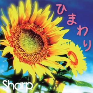 收聽SHARP的あなたと約束歌詞歌曲