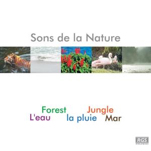 ดาวน์โหลดและฟังเพลง Bosque พร้อมเนื้อเพลงจาก Natural Sound
