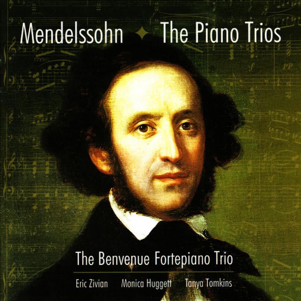 Trio in D Minor Op. 49: IV. Finale - Allegro assai appassionato