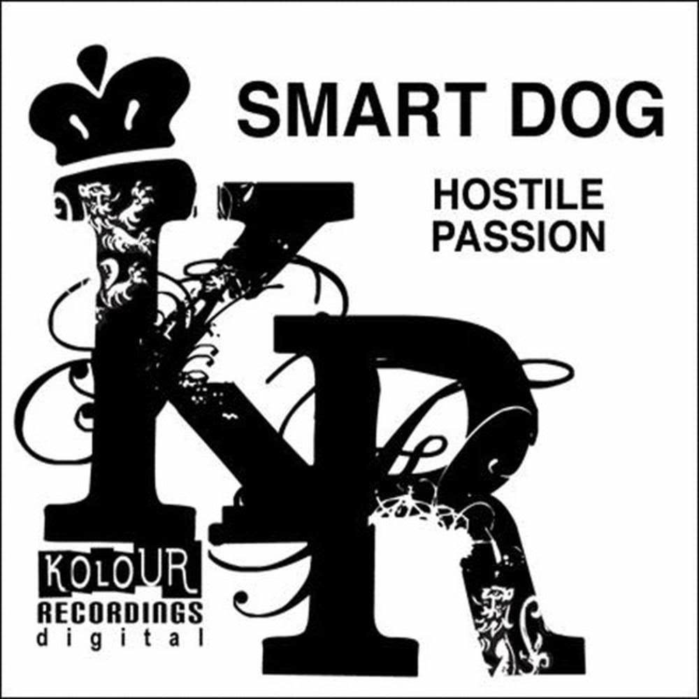 Hostile Passion (Sound Diggers meets Groove Federation Remix Master)