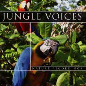 ดาวน์โหลดและฟังเพลง Jungle Voices - Part 1 พร้อมเนื้อเพลงจาก Global Journey
