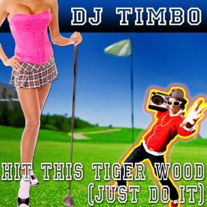ดาวน์โหลดและฟังเพลง Hit This Tiger Wood [Original] (Original) พร้อมเนื้อเพลงจาก DJ Timbo