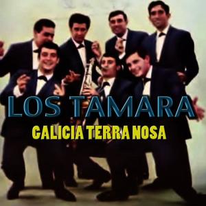 收聽Los Tamara的Galicia, Terra Nosa歌詞歌曲