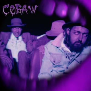 Listen to Fool's Gold song with lyrics from The Cactus Channel