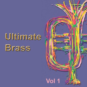 ดาวน์โหลดและฟังเพลง Euphonium Solo (Caprice) พร้อมเนื้อเพลงจาก The Williams-Fairey Engineering Band