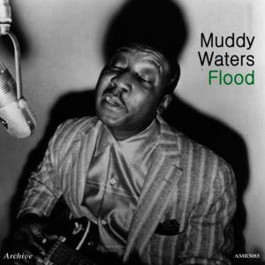 收聽Muddy Waters的Oh Wee歌詞歌曲