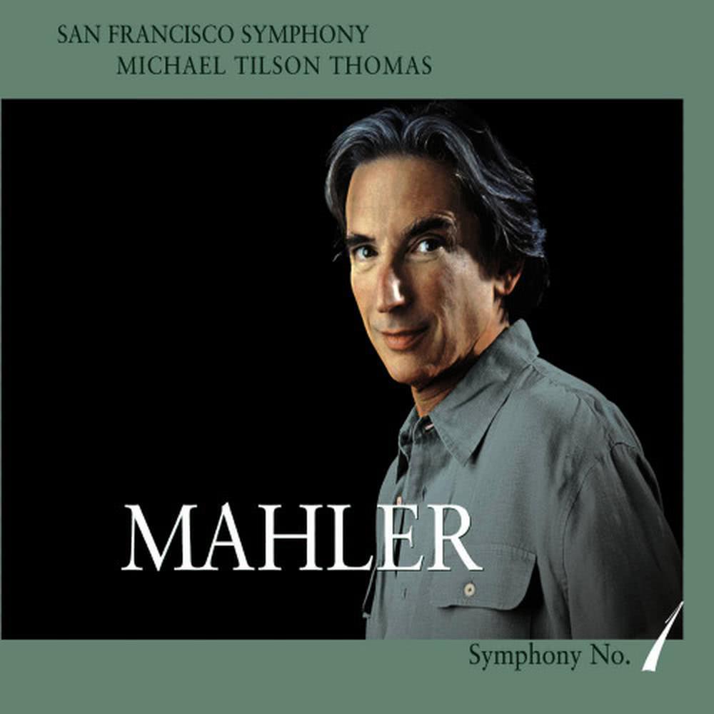 Symphony No. 1 in D Major: IV. Stürmisch bewegt