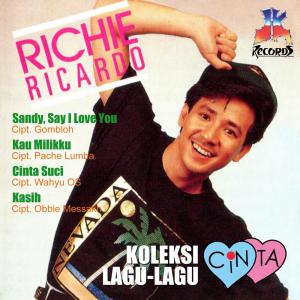 ดาวน์โหลดและฟังเพลง Lagu Untuk Mu พร้อมเนื้อเพลงจาก Richie Ricardo