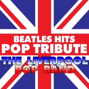 ดาวน์โหลดและฟังเพลง Eleanor Rigby พร้อมเนื้อเพลงจาก The Liverpool Pop Band